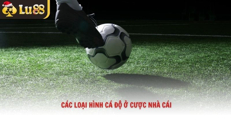 Các loại hình cá độ ở cược nhà cái
